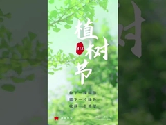 알루미늄 산화물 운송 롤러